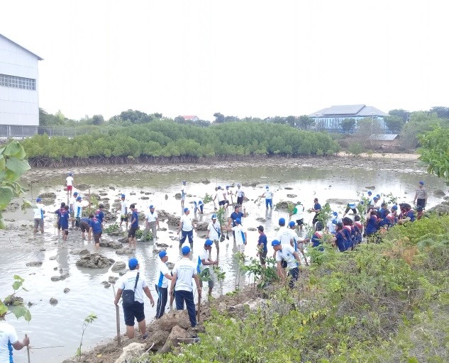 Peserta pesisir berseri sedang menanam mangrove di sekitar pesisir Tanggul Paciran, Kab. Lamongan