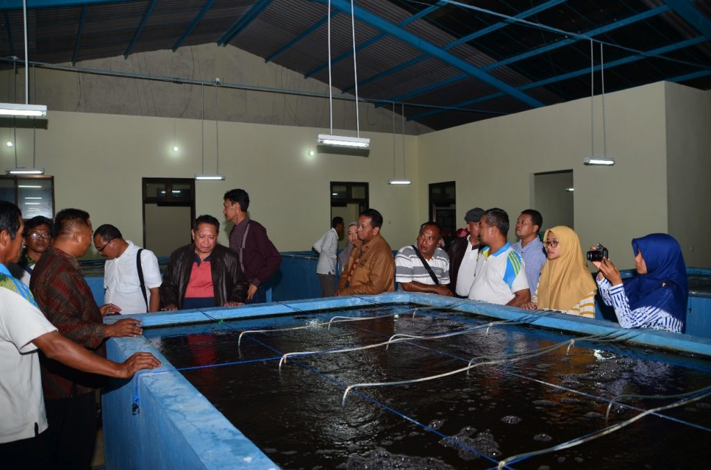 Kepala Dinas Kelautan dan Perikanan Provinsi Jawa Timur sedang meninjau bak budidaya udang di IBAP Prigi
